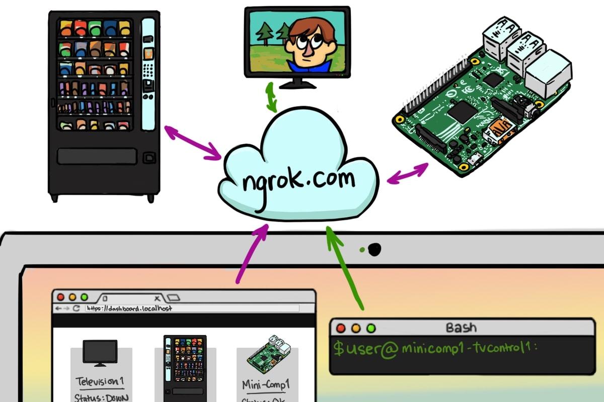 nat-port-raspberry-pi-with-ngrok